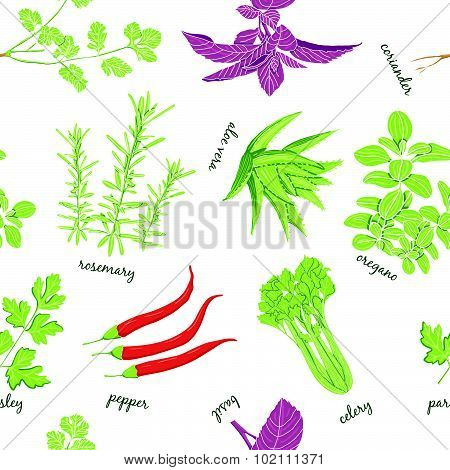 Herbs Set Seamless Pattern. .