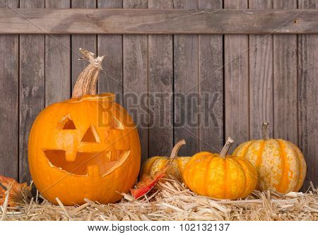 Carved Pumpkin And Squash