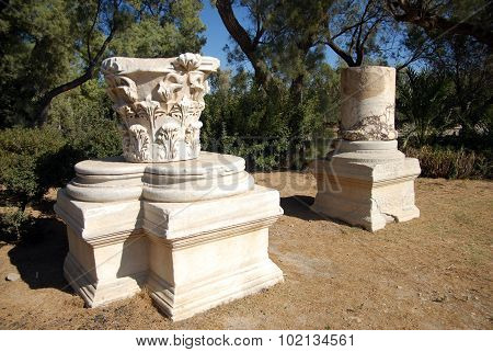 Ashkelon National Park on the southern Mediterranean coast encompasses history and heritage thousands of years old. Ashkelon Israel.