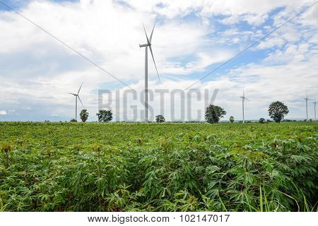 Wind Turbine In Cassava Plantation