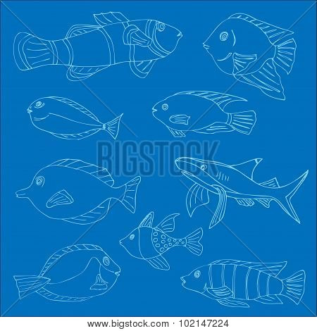 Set of tropical fish