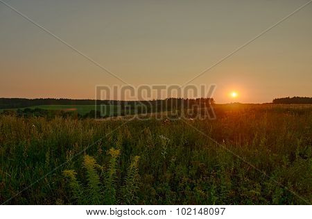 Beautiful Summer Sunset In Countryside