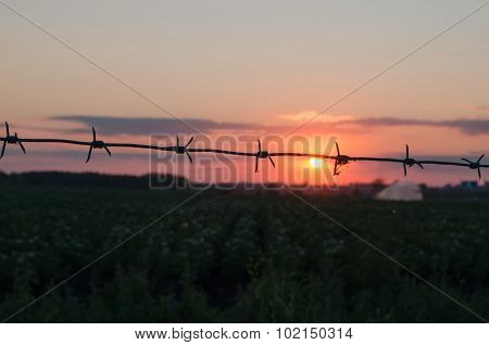 Barbed wire at sunset