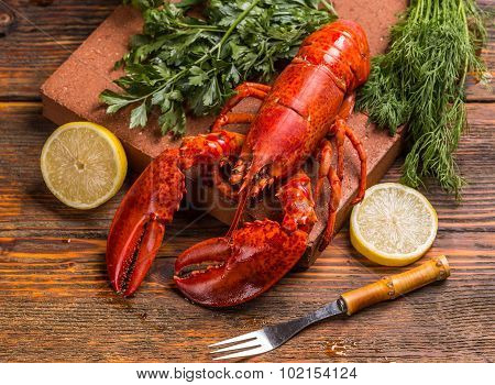 Lobster