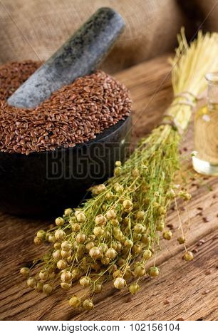 Bunch Of Flax Plants Bonded By Natural Cord