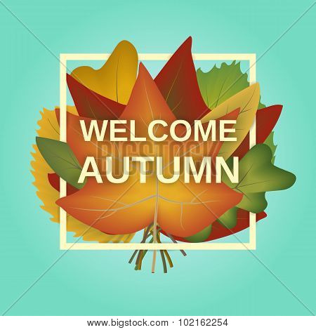 Welcome autumn