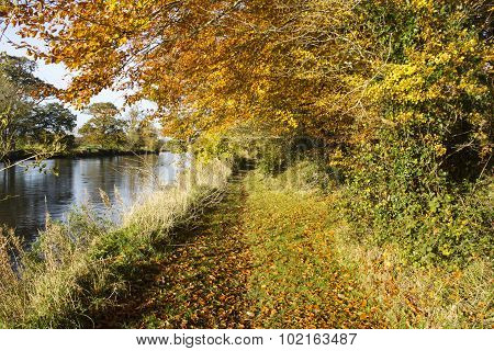 Autumn River