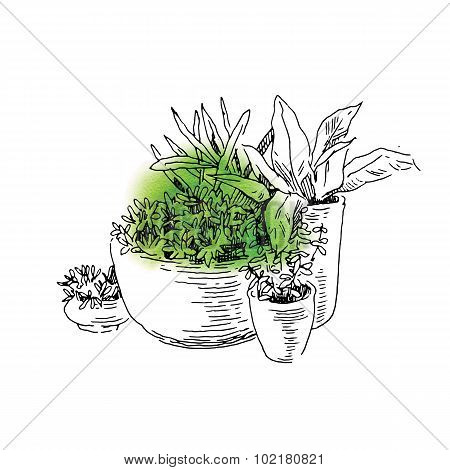 Garden elements sketch