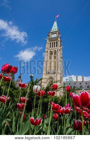 Parliament Building in Ottawa Canada