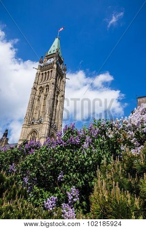 Parliament Building in Ottawa Canada