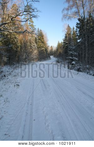 Winter Road