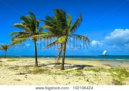 Beach Diani