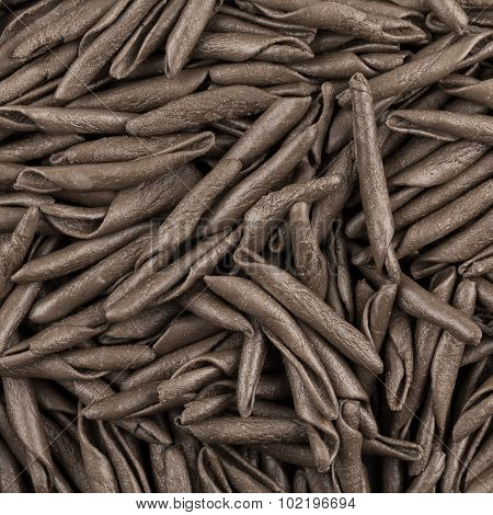 Seppia Pasta Fusilli
