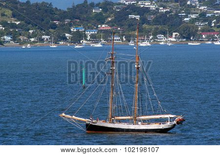 Waitangi Day, New Zealand