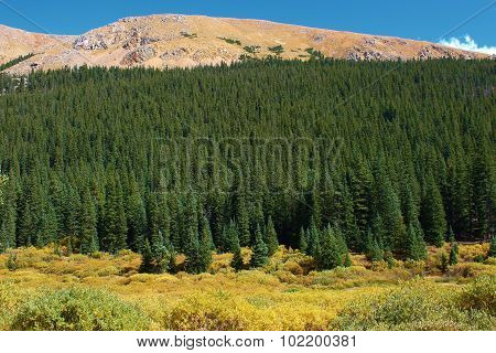 Rural Mountain Meadow