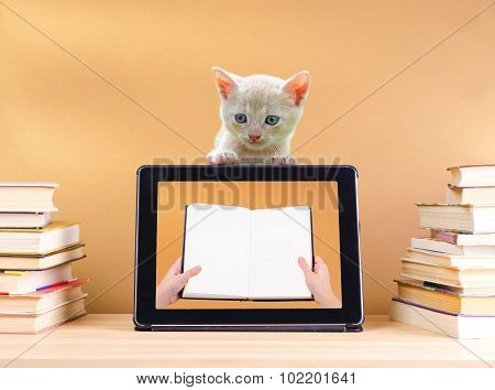 tablet pc