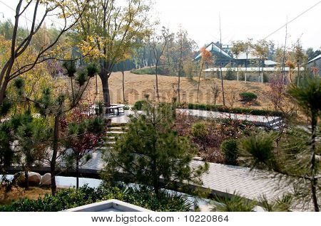 Park Zdjęcia