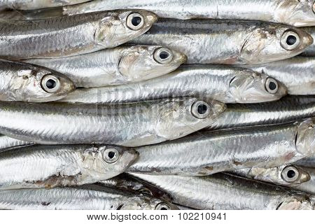 Fresh Anchovies Prepared Seafood Background Texture. Raw Food.