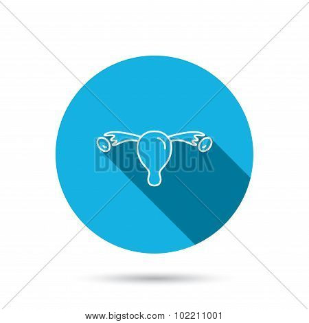 Uterus icon. Ovary sign.