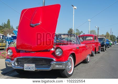 Ford Thunderbird On Display