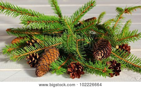coniferous composition