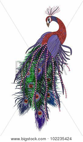 Peacock.