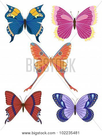 Set of butterflies.