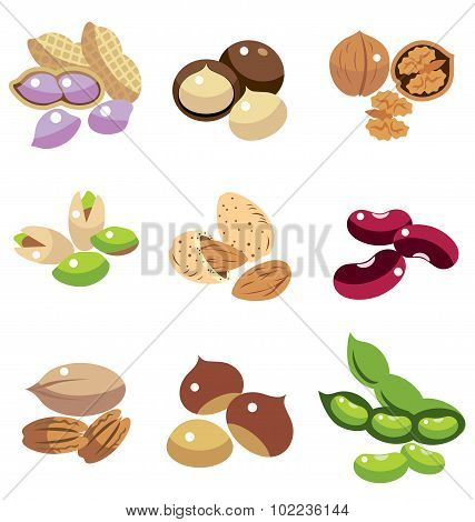 Collection Of Beans