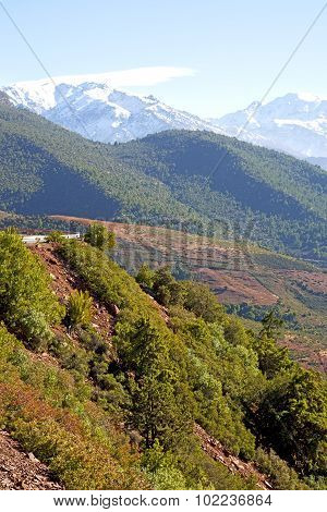 The    Dades Valley   Atlas Moroco Street Snow  Nobody