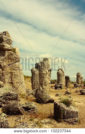 Stone Forest