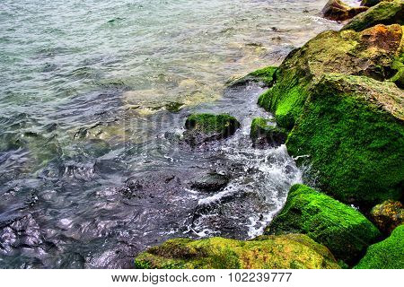 coast