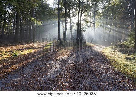 Autumn