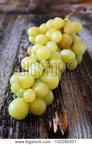 Bunch Of Green Grapes