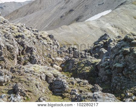 Rock Formation In Iceland