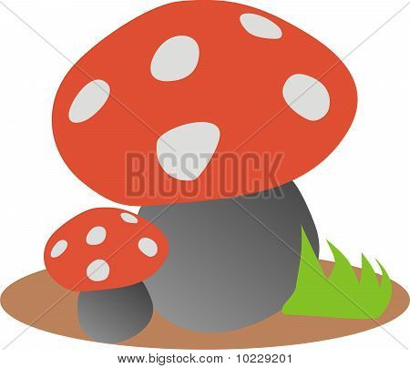 Fly agaric
