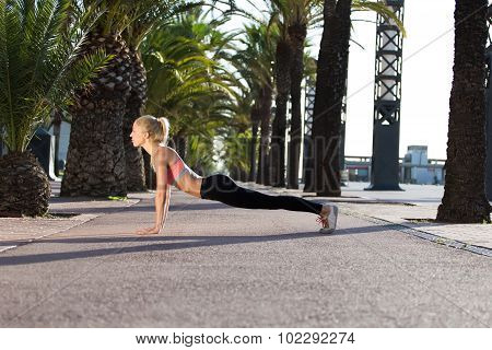 Young caucasian woman doing press ups in tropic urban setting with palm trees athletic