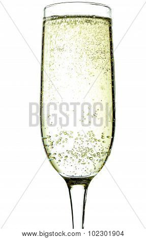 Champagne flute