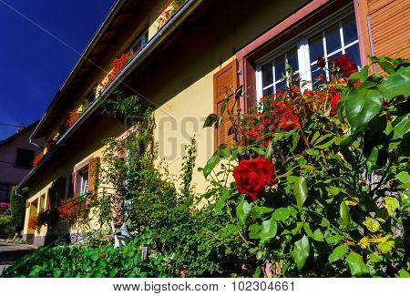 Old Alsacien House In Small Village