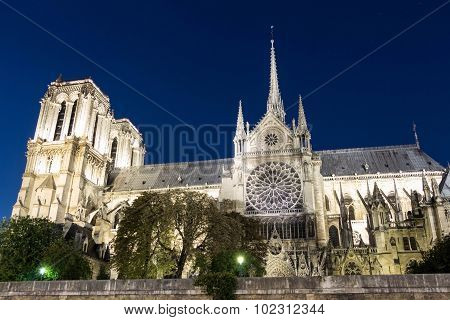 The Cathedral Notre Dame At Night, Paris, France