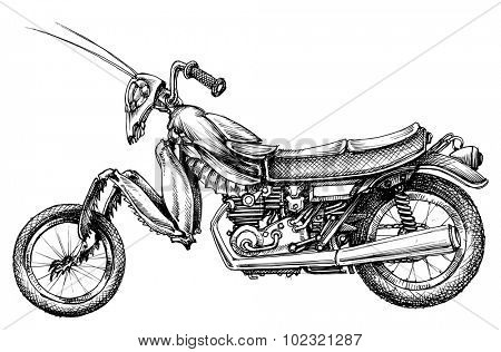 Fantasy insect motorcycle