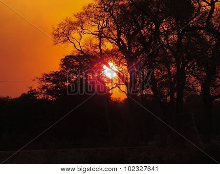 Sunset in Pantanal
