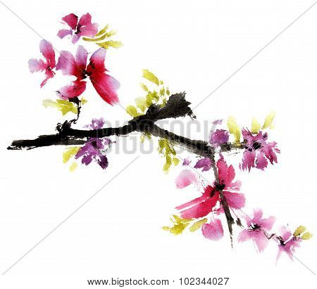 Sakura flower