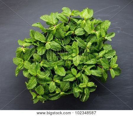 Fresh Mint Leaves With Black Board For Background