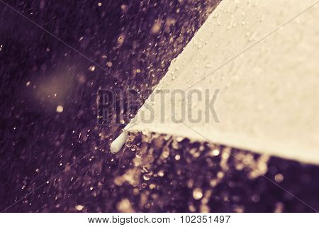 Selective Focus For Close Up A Part Of Umbrella Which Has Rain Drops Falling , Shallow Dof