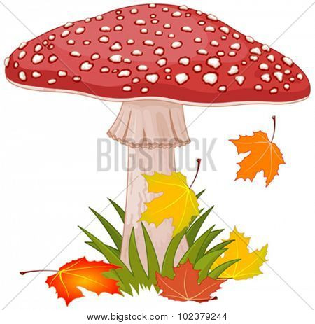 Illustration of amanita in a grass