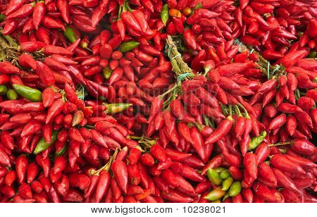 Chili peper