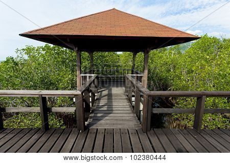 Indonesian Landscape With Walkway