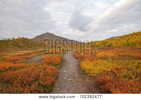Mountain landscape