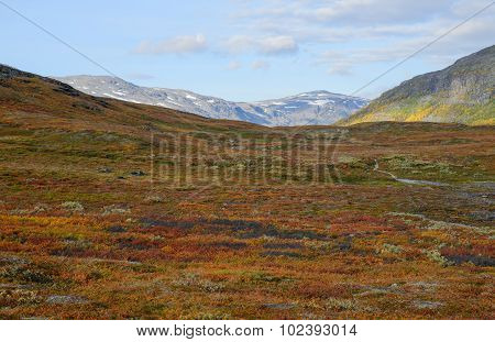 Mountain landscape
