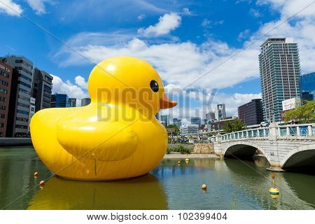 Osaka Japan - September 19: Giant 'Rubber Duck' sculpture by artist Florentijn Hofman swims Harbour of Nakanoshima park on September 19 2015. Local residents and tourists are drawn to the attraction. 